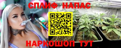 бошки Шебекино