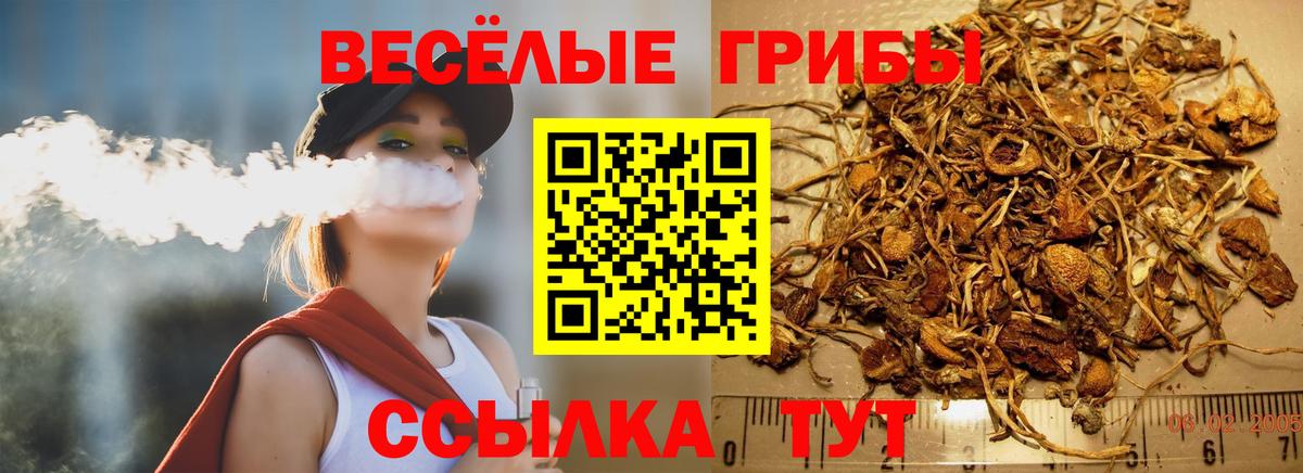 Псилоцибиновые грибы мицелий Бузулук